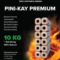 jkm-p3-pini kay